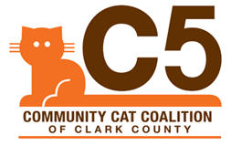 C5 logo